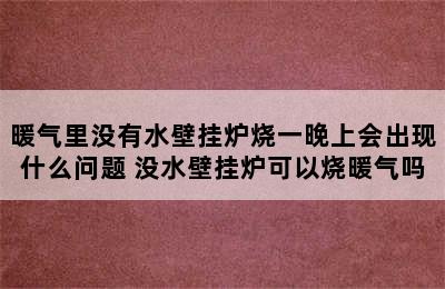 暖气里没有水壁挂炉烧一晚上会出现什么问题 没水壁挂炉可以烧暖气吗